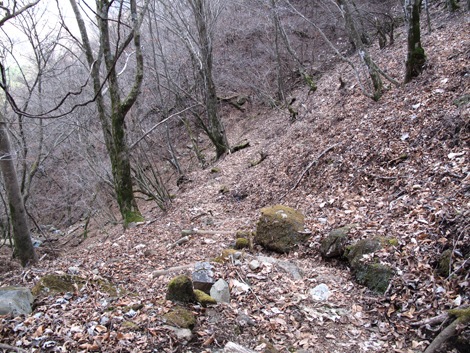 20171207hike (323)